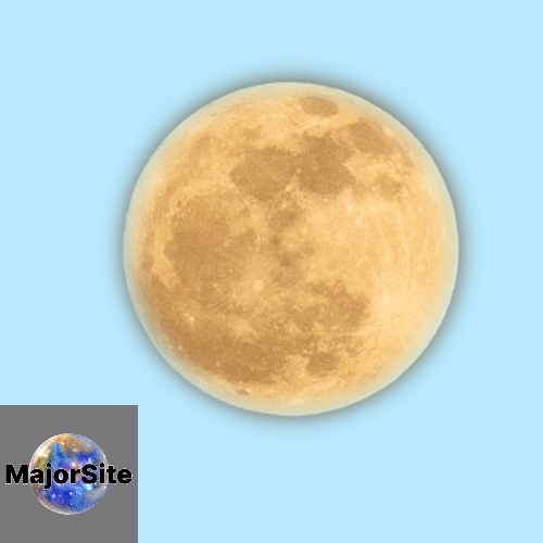 사이트 신뢰도를 판단할 때 고려할 수 있는 핵심 요소를 정리한 인포그래픽